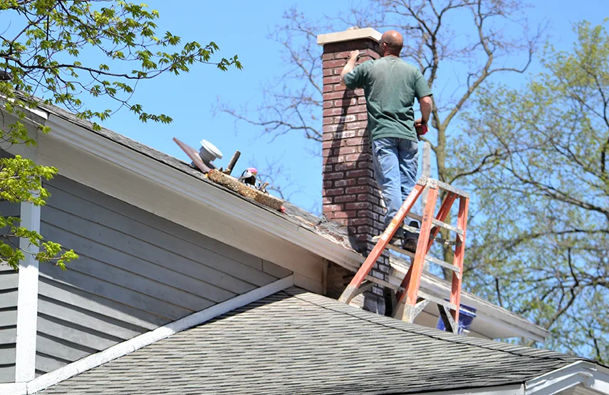 Chimney & Fireplace Inspections Services in Roanoke Rapids, NC